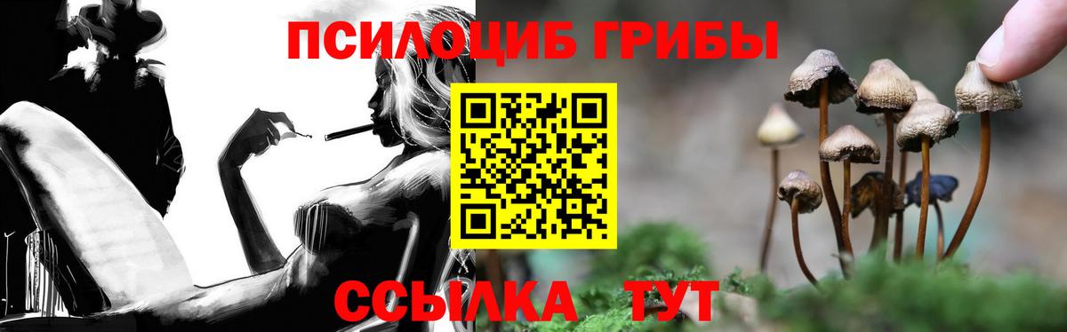 Беслан  Галлюциногенные грибы GOLDEN TEACHER  Вход с VPN 